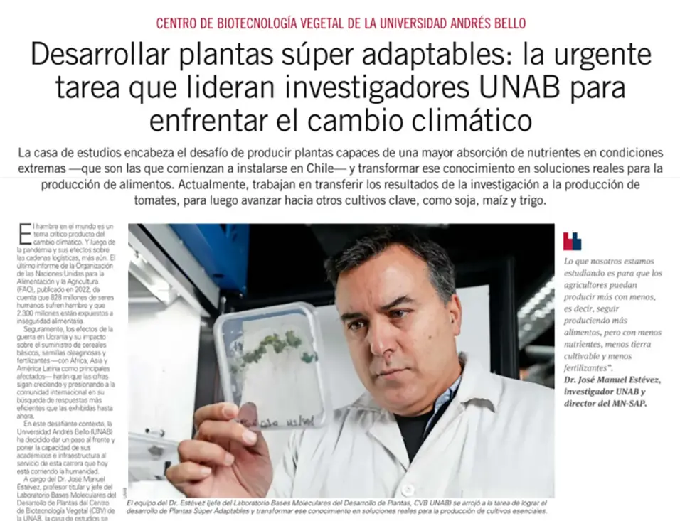 plantas super adaptables